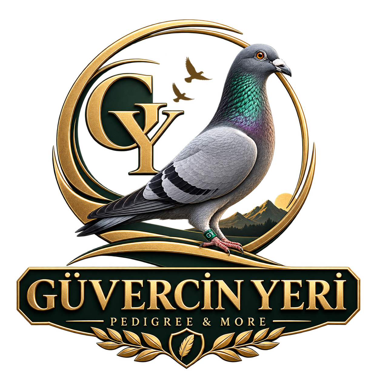 Güvercin Yeri Logo