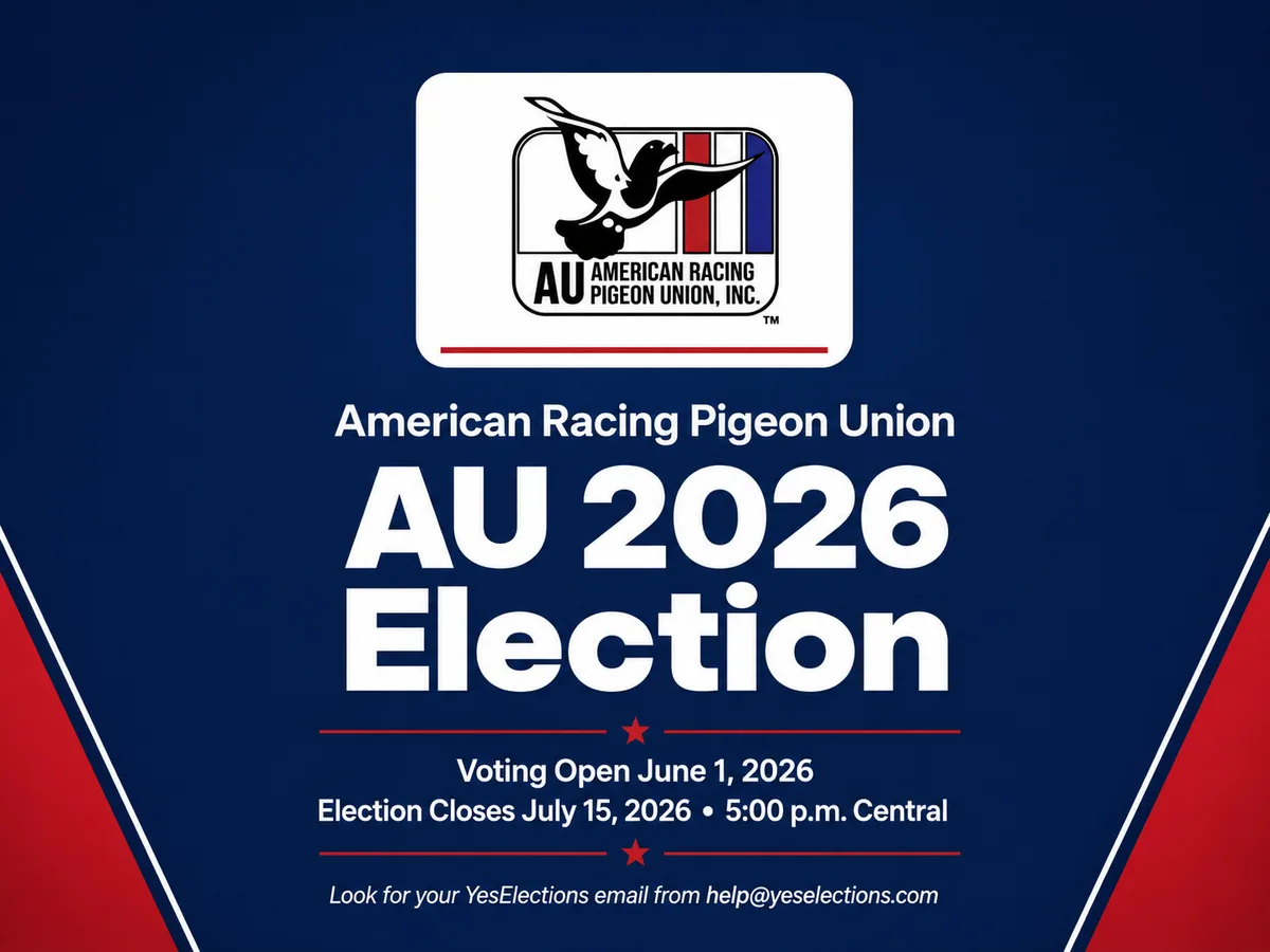 American Racing Pigeon Union üyeleri 2026 seçimi için oy kullanmaya başladı