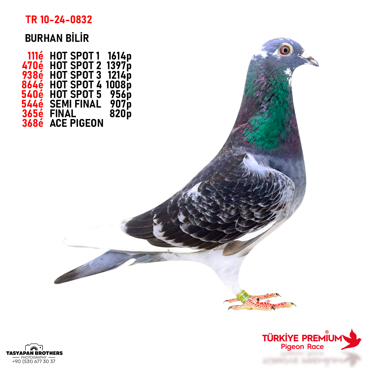 TR 26-10-0810